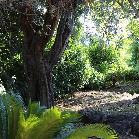 Il Giardino Dei Lucchesi - Country Houses *